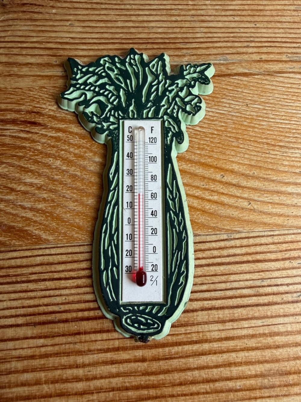 Vintage Celery Thermometer Magnet